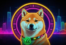 The Latest Updates on the Doge Website: Key Features and Insights You Need to Know